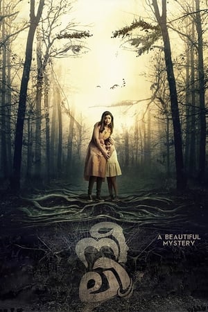 Neeli (2018) (Hindi – Malayalam) Dual Audio [1.2GB] HD Poster Download - filmyfly