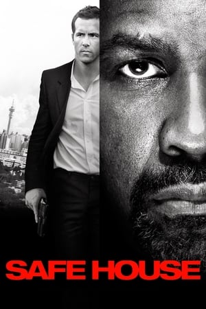 Safe House (2012) Hindi Dual Audio 350MB HD Poster Download - filmyfly